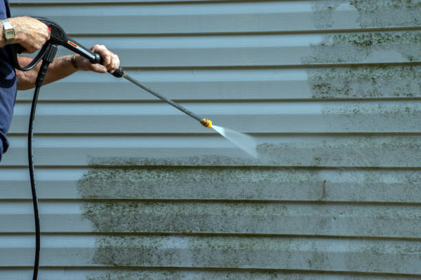 Best Roof Pressure Washing  in Canastota, NY